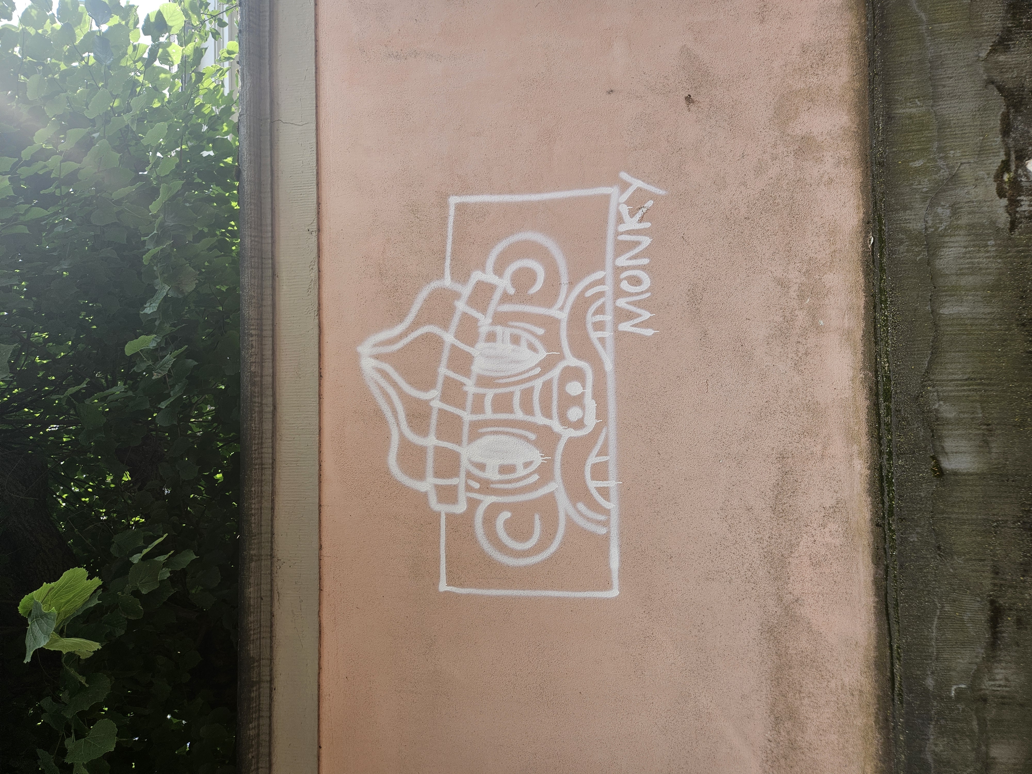 monkey